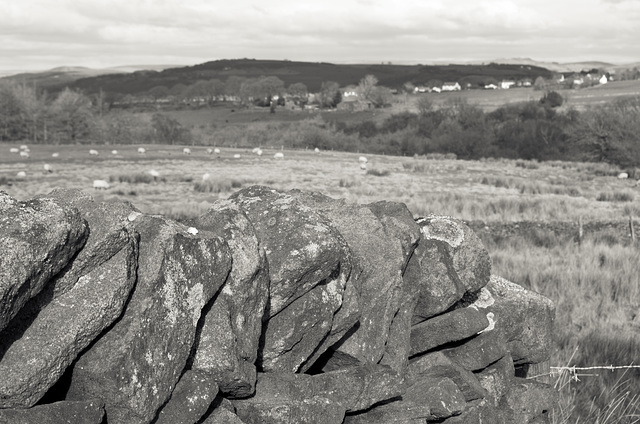 Over the Dry Stone Wall