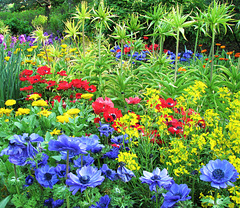 Garden of Many Colors