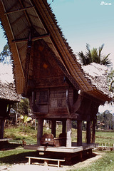 Rantépao (Sulawesi)