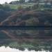 Arnfield reflections