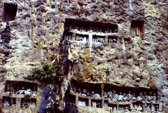 Falaise mortuaire du pays Toraja