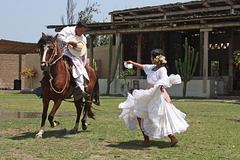 Dancing with a Peruvian Paso