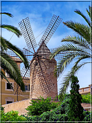 Il mulino a vento simbolo di Majorca