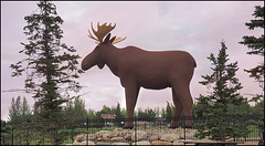 Moose Jaw, Saskatchewan.