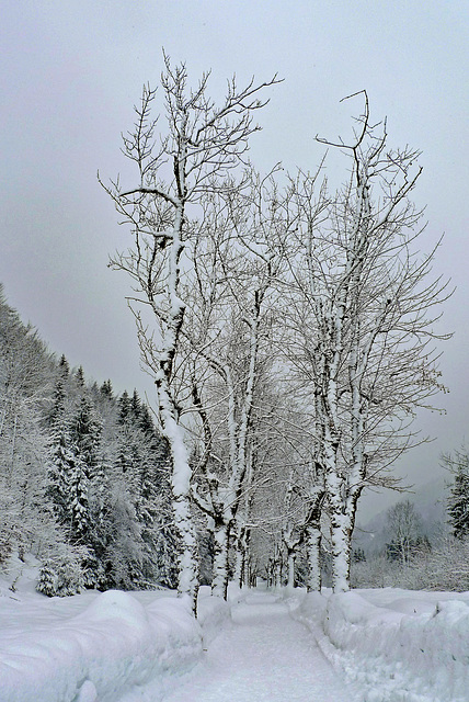 Germany - Oberstdorf, Trettachtal