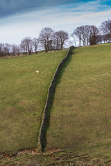 Hillside wall
