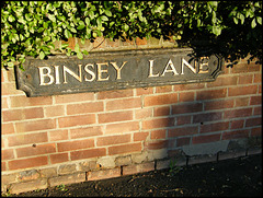 Binsey Lane sign