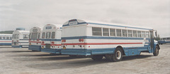 Zinck's Bus Co line up - 9 Sep 1992 (175-34)