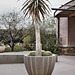 Let's Get Potted! – Desert Botanical Garden, Papago Park, Phoenix, Arizona