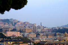 IT - Genoa - City view