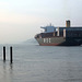 Containerschiff  MSC Shuba B