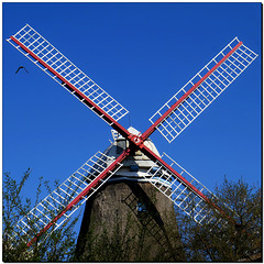 Windmühle auf Vogelfang {;o)