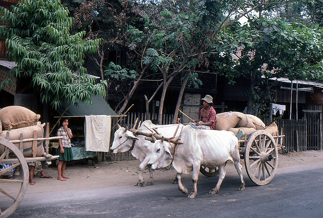 Reistransport in die Stadt Mandaly