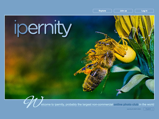 ipernity homepage with #1445