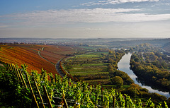 Wein und Main ...  Wine and River Main ...