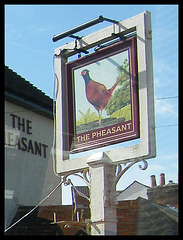 The Pheasant at Reading