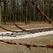 HFF: National Monument 'Camp Westerbork'... We'll never forget!