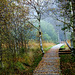 Herbststimmung in einem Niedermoor - Autumn mood in a low moor