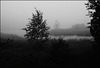 Hohlohmoor im Nebel