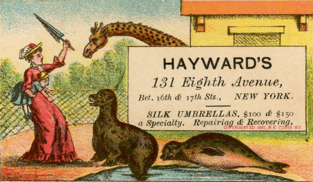 Hayward's—Silk Umbrellas a Specialty