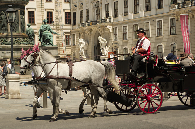 Coach and Horses, Vienna