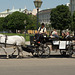 Coach and Horses, Vienna