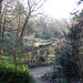 Painswick Rococo Garden (12) - 19 January 2020