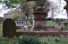St Mary and St Michael's Churchyard, Great Urswick, Cumbria