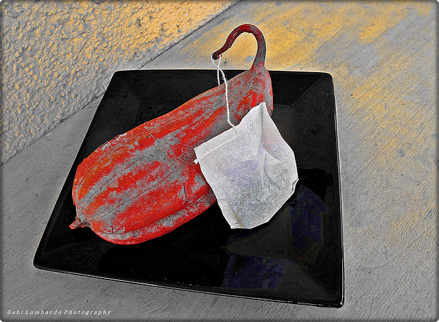 The 50 Images Project - Tea Bag - 49/50 - teabag & cocoa been