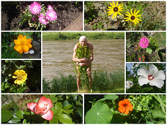 Blüten in meinem Garten  - floroj en mia ĝardeno