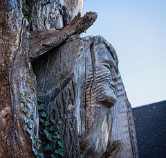 Holzschnitzerei am Baumstamm :))  Wood carving on the tree trunk :))  Sculpture sur bois sur le tronc d'arbre :))
