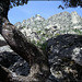 Sierra de La Cabrera and an exuberence of granite.