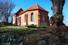 Dorfkirche Pinnow mit Schneeglöckchen