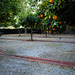 Alvito, Castelo-pousada, Orange grove