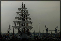 sail amsterdam 2015