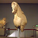Horse from the Quadriga from the Mausoleum of Halicarnassus in the British Museum, May 2014