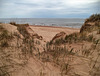 Plage et dunes / Dunes and beach