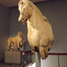 Horse from the Quadriga from the Mausoleum of Halicarnassus in the British Museum, May 2014