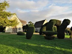 mere cemetery, wilts, mid c19 chapels and yew topiary (3)