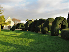 mere cemetery, wilts, mid c19 chapels and yew topiary (4)