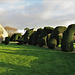 mere cemetery, wilts, mid c19 chapels and yew topiary (4)