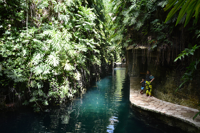 Mexico, In the Cenotes of Hacienda Mucuyche