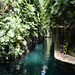 Mexico, In the Cenotes of Hacienda Mucuyche