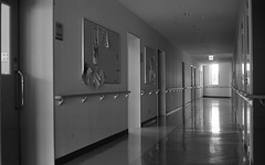 Hallway of a school