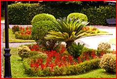 Garden with floral heart * for World Photography day