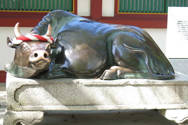 Dans le sanctuaire shintoïste Temman-gû, Dazaifu (Ile de Kyûshû, Japon)