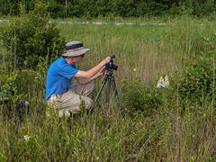 Kelvin Taylor photographing Platanthera conspicua (Southern White Fringed orchid)