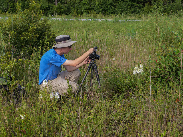 Kelvin Taylor photographing Platanthera conspicua (Southern White Fringed orchid)