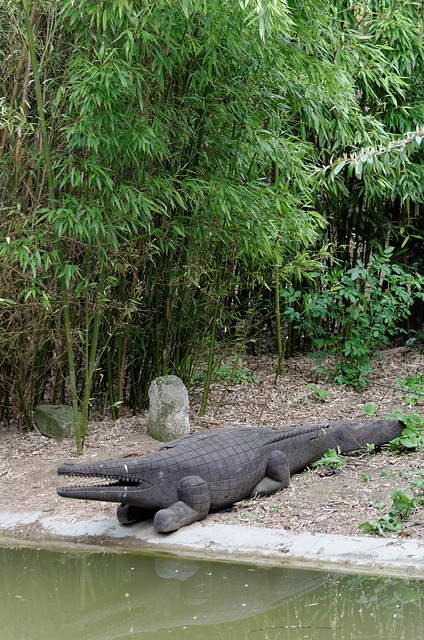 Ce matin, le crocodile a la gueule de bois