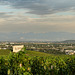 Balade dans les vignes avec le petit train des vignes - Tournon sur Rhône-Tain l'Hermitage